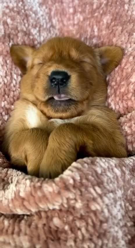 милашка ❤️