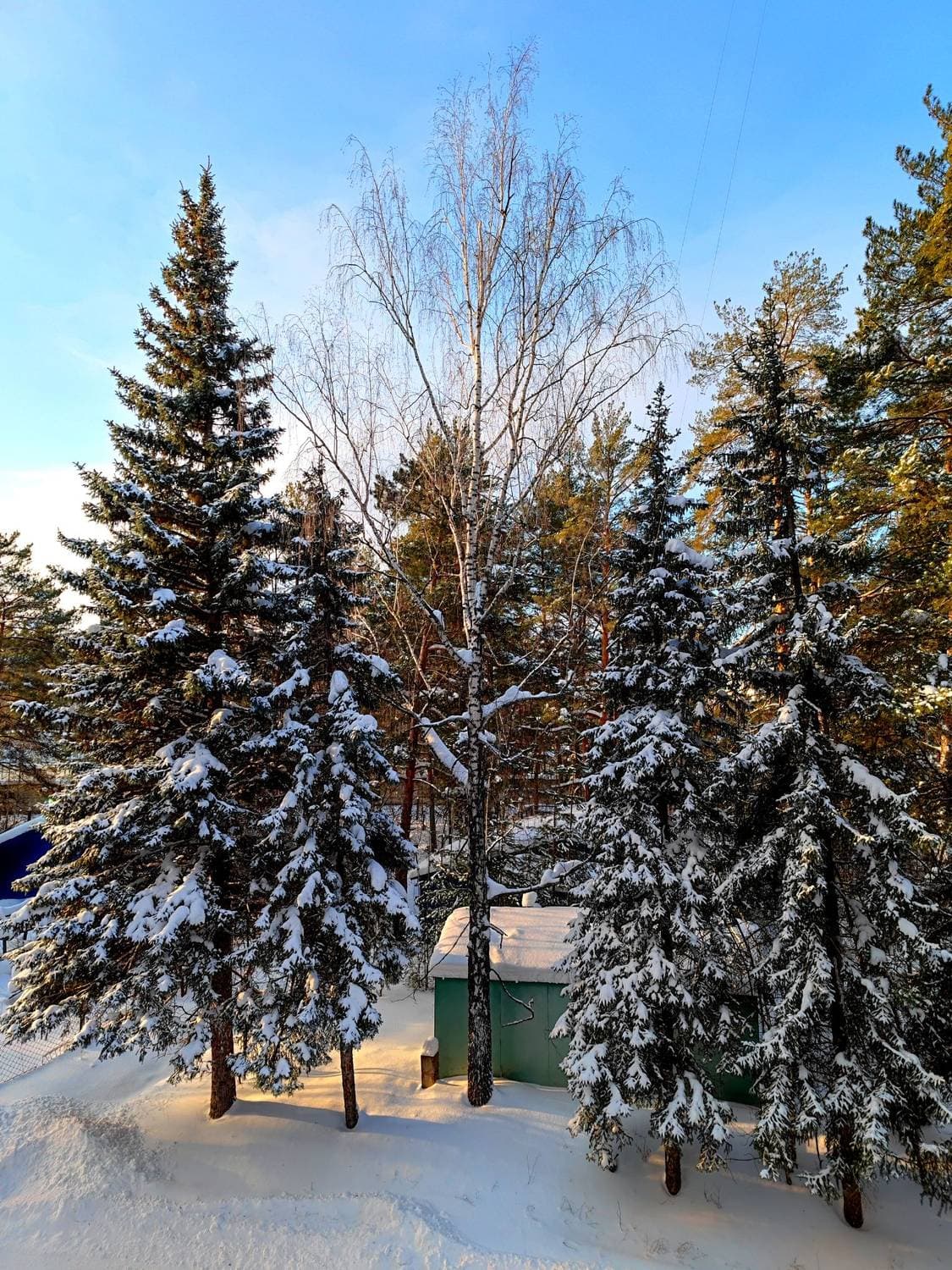 Сегодня радует нас ☀️и небо голубое
так приятненько 😊