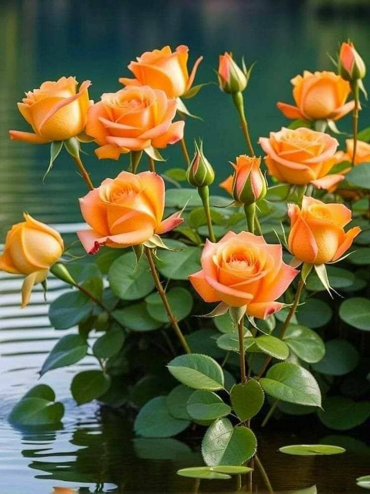 💐