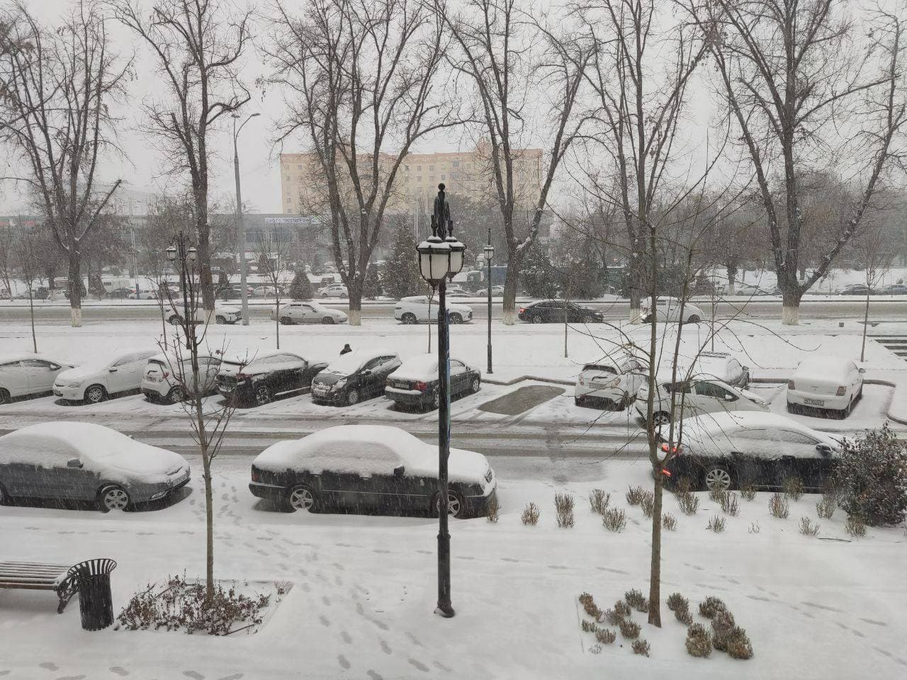 у нас опять идёт снег ❄️❄️❄️Ташкент.