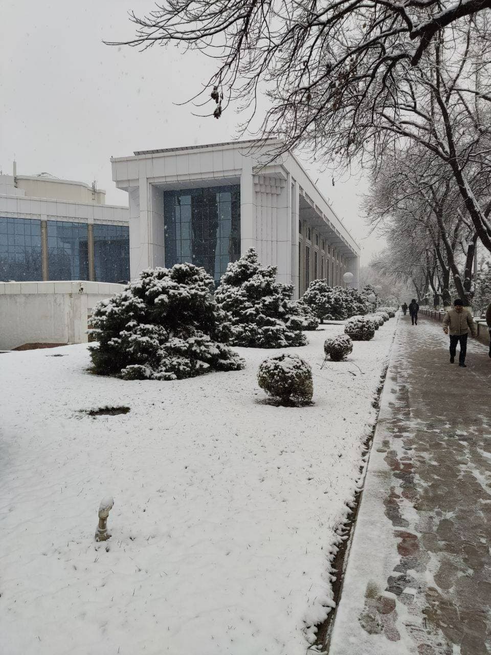 ❄️ Ташкент ❤️