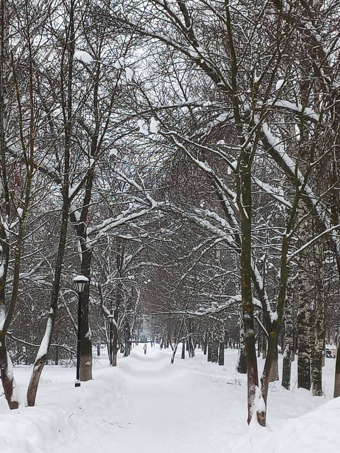 прогулка