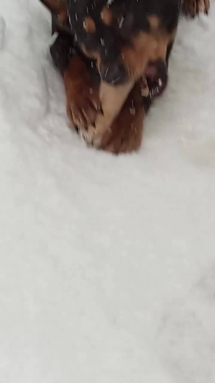 #Очуметьприрода очень вкусненькоо 😀😀🔥🔥🔥