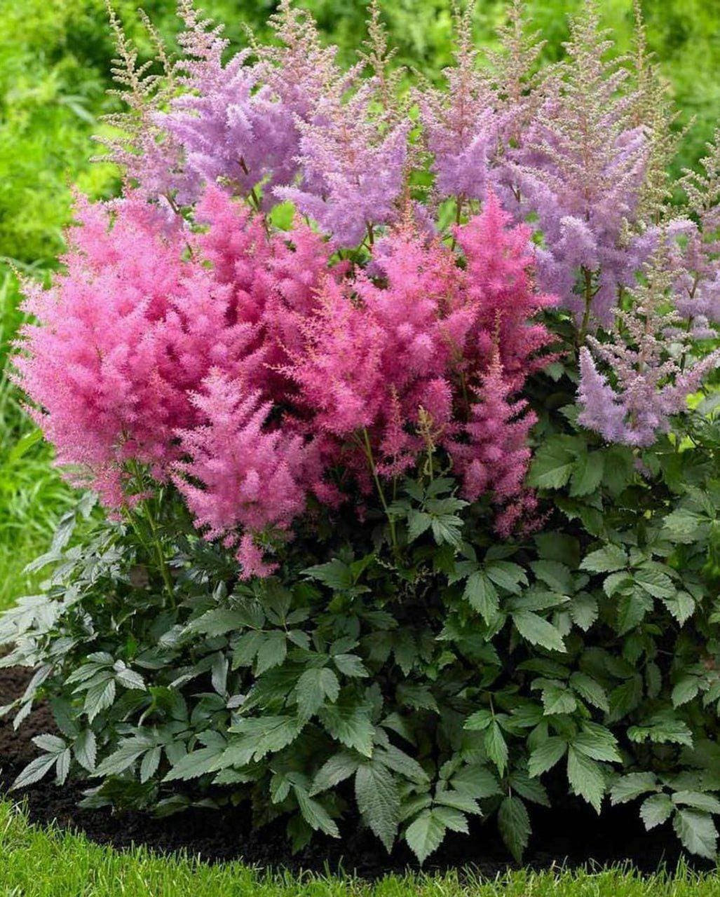 💐