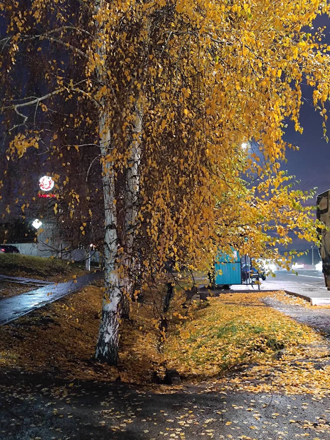 🍂