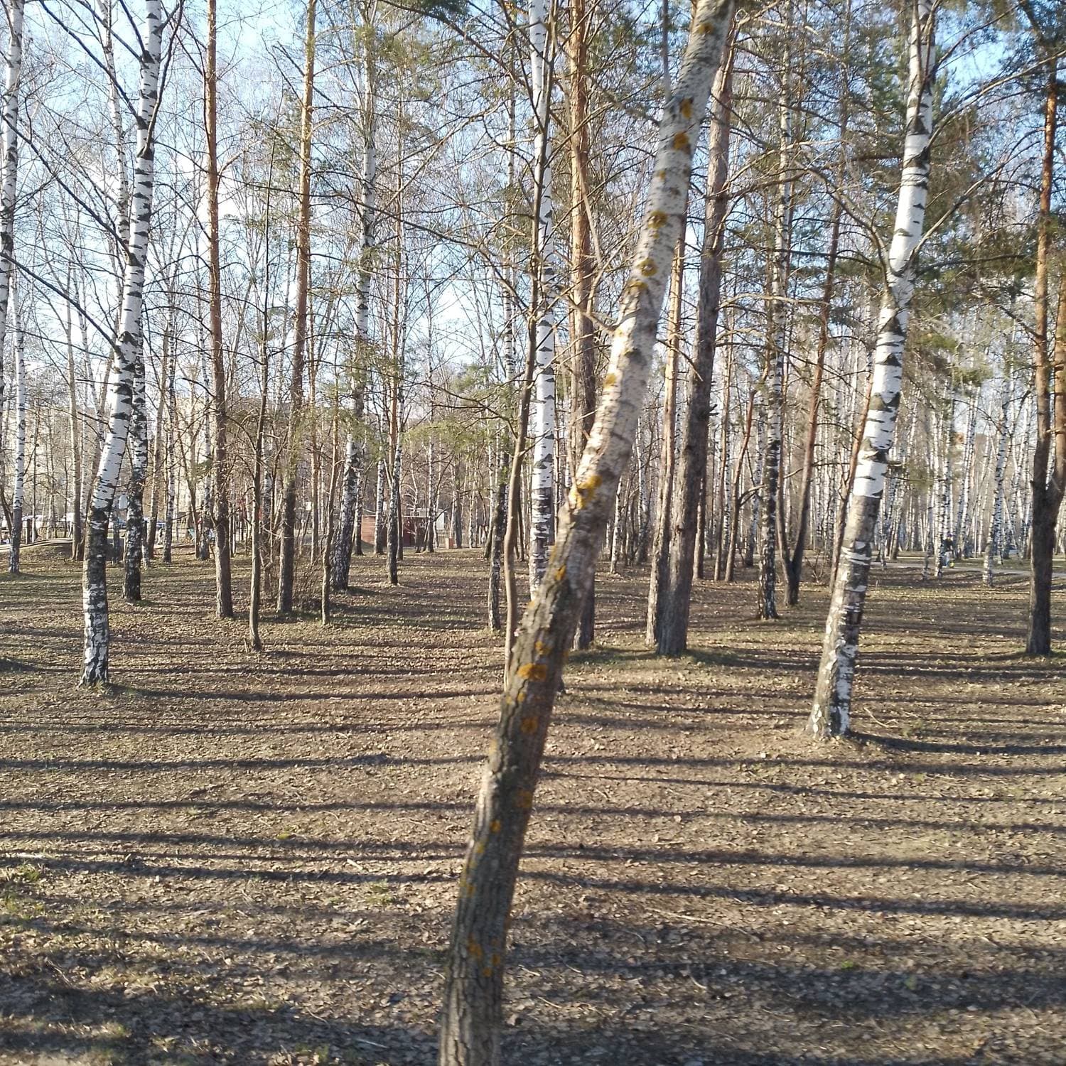открыл самокатный сезон 😁😊