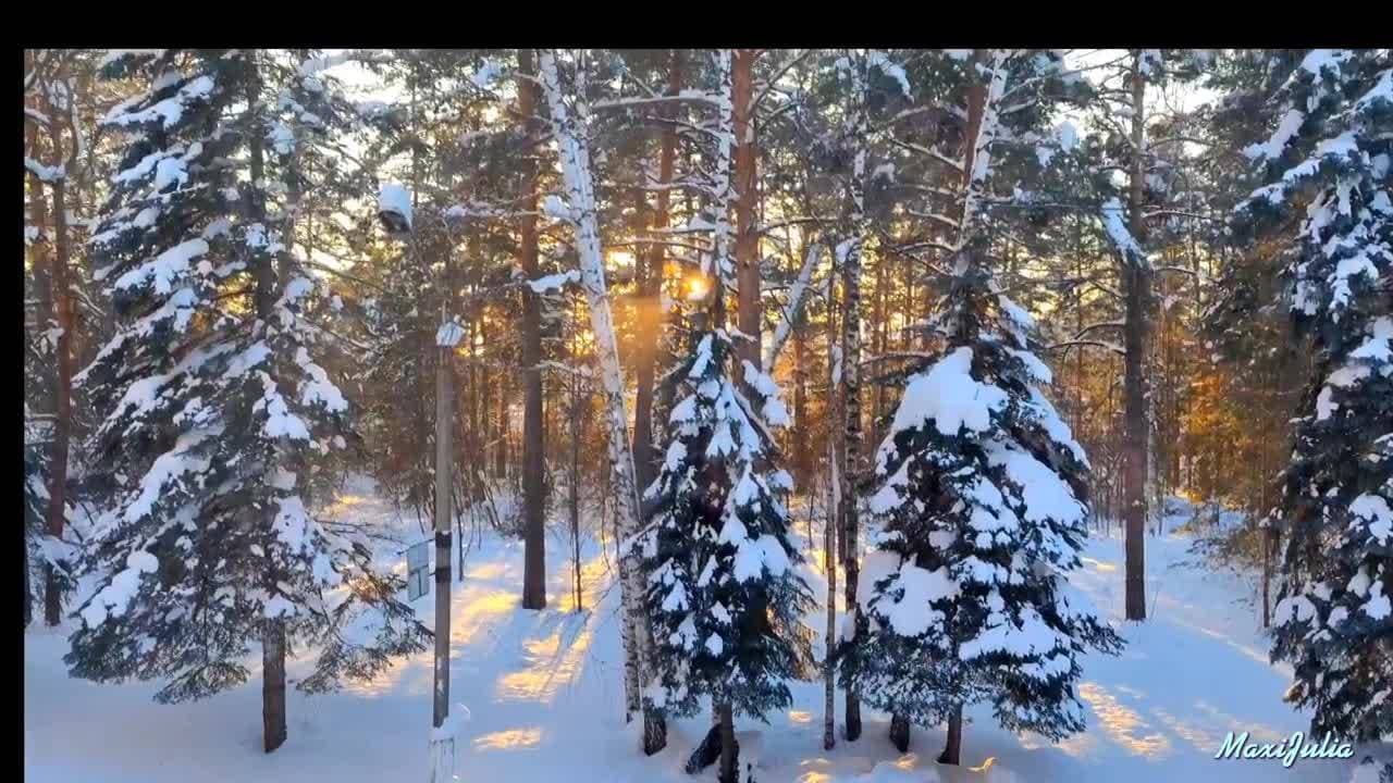#зима #февраль #закат #природа #swapmap