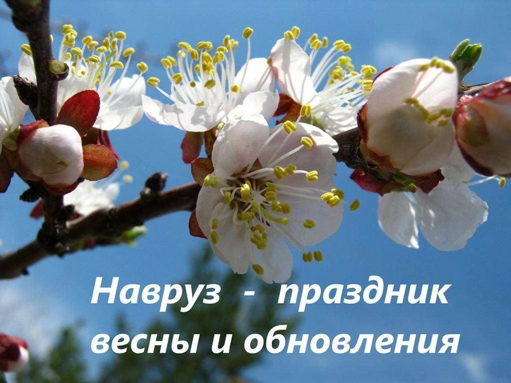 скоро Навруз 😍