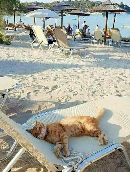 на пляже 🤩