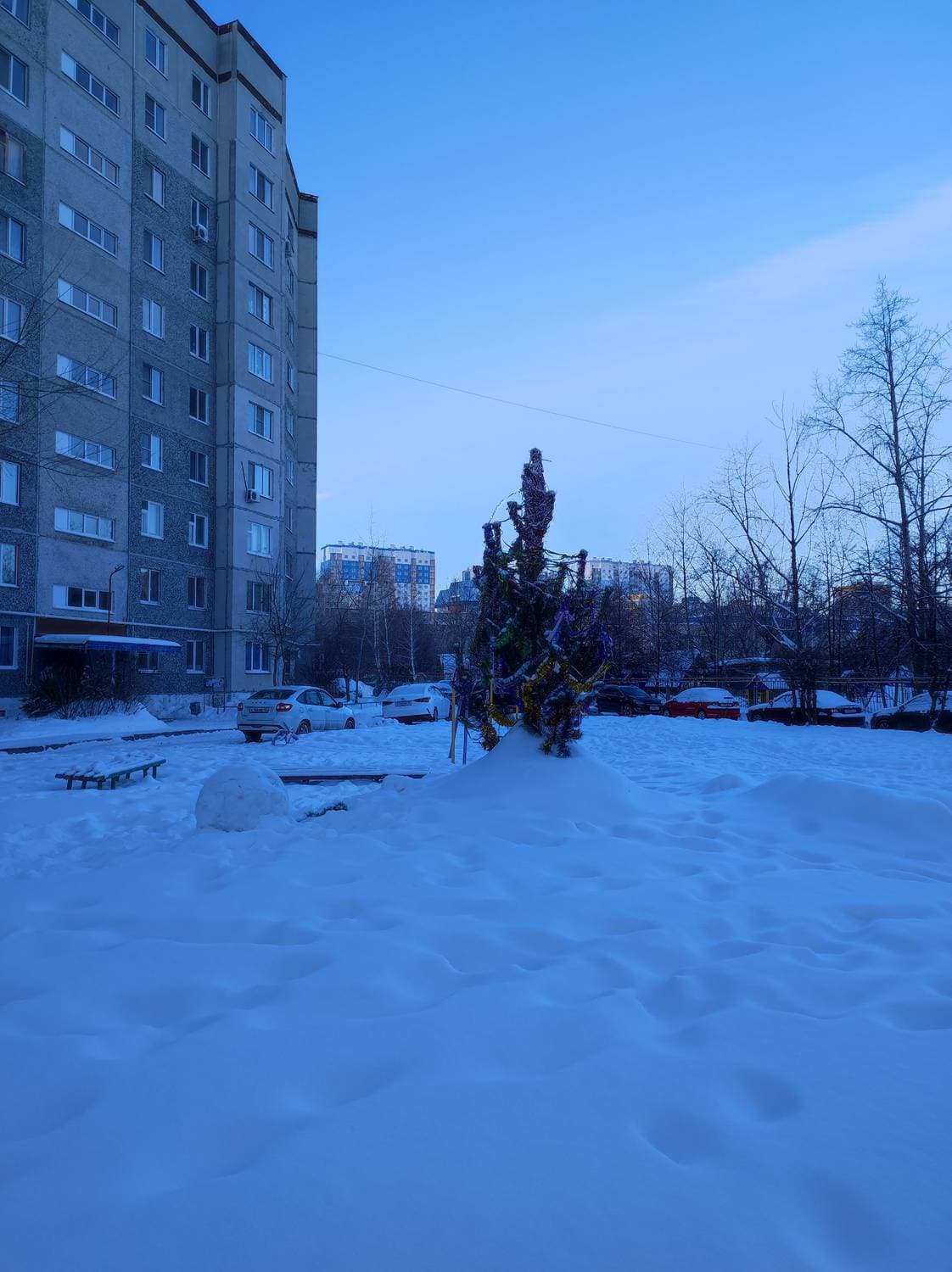 во дворе всё ещё ёлочка