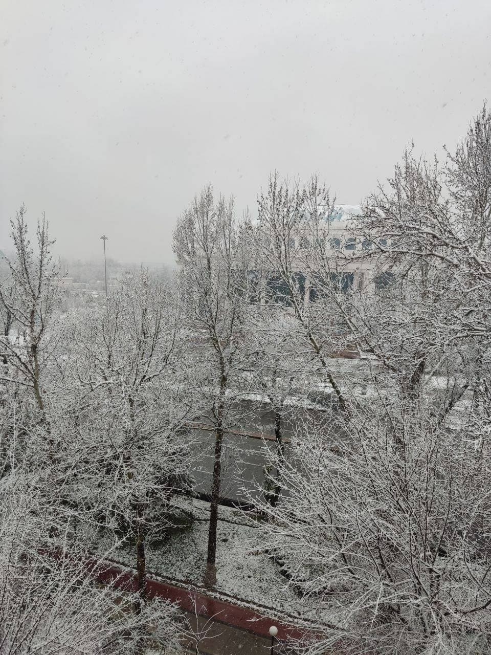 ❄️❄️❄️
