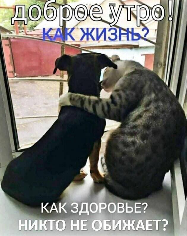 😍
