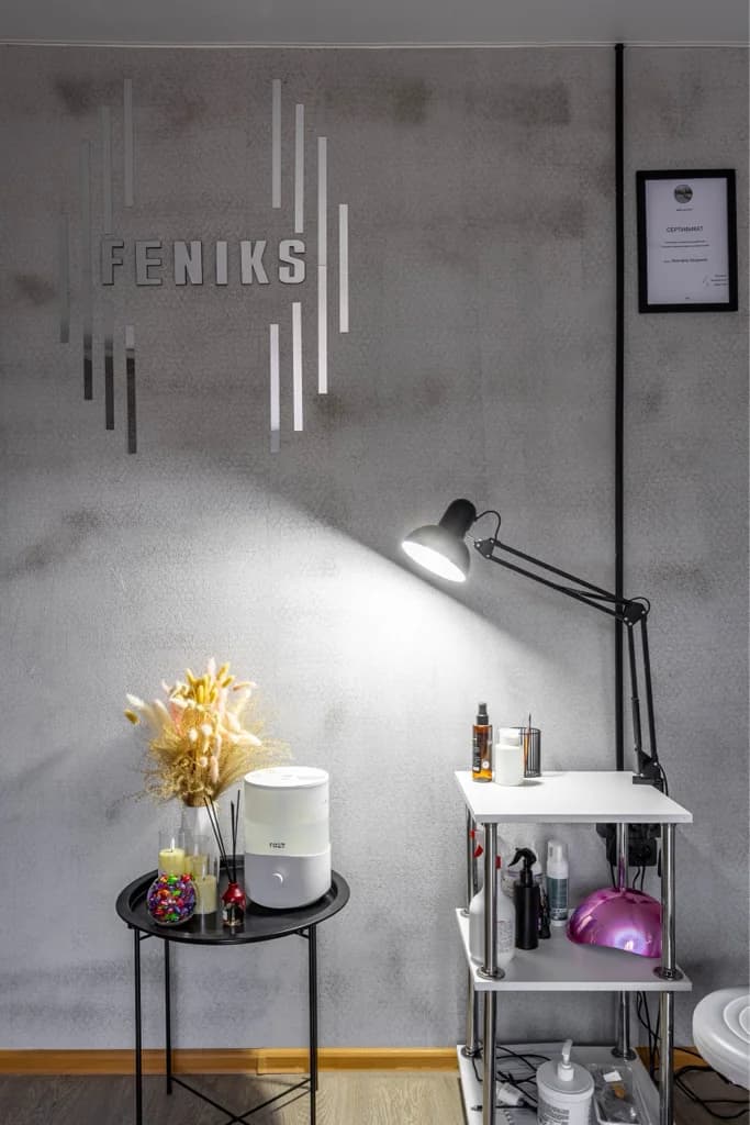 FeNiks