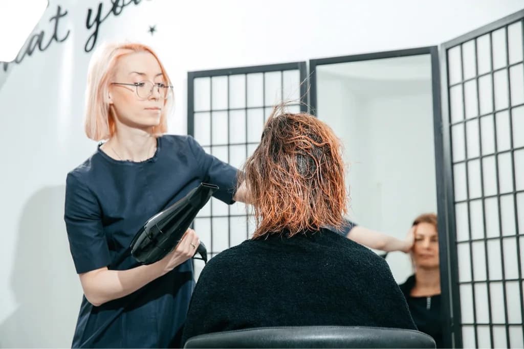 Lisova stylist